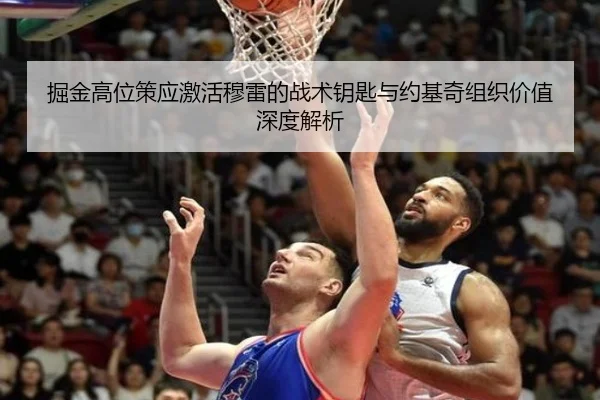 掘金高位策应激活穆雷的战术钥匙与约基奇组织价值深度解析